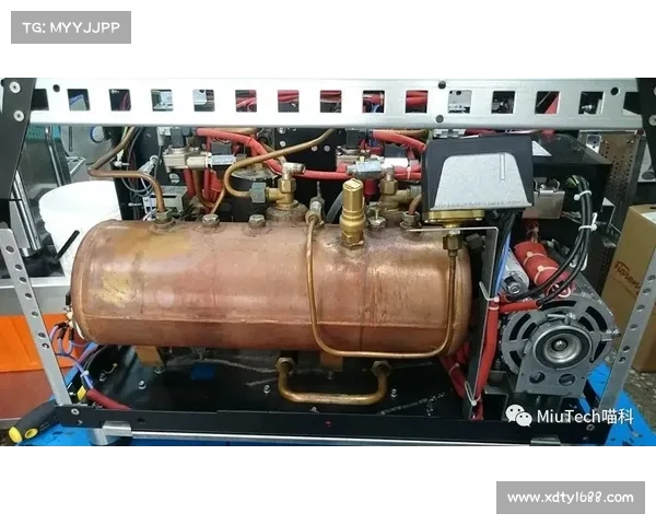 安赛龙分享学习新语言的心路历程与挑战感悟