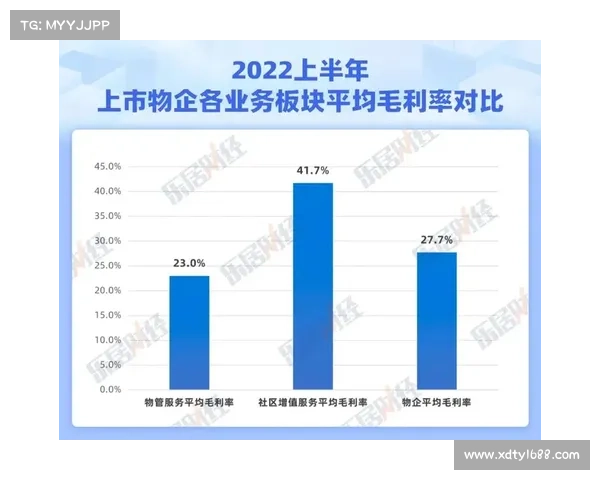 提升足球俱乐部盈利性十大策略探索与实践分析 提升足球俱乐部盈利性十大策略探索与实践分析